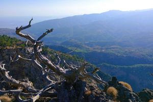 Εβδομήντα επιστήμονες, επτά  ιδρύματα και δεκαεπτά δομές, στη μάχη κατά της κλιματικής αλλαγής στην Κρήτη