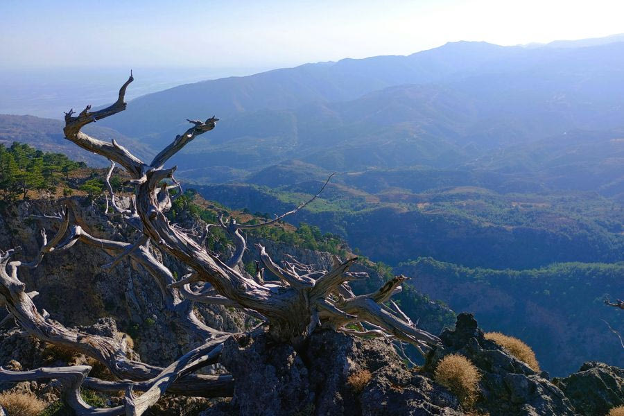 Εβδομήντα επιστήμονες, επτά  ιδρύματα και δεκαεπτά δομές, στη μάχη κατά της κλιματικής αλλαγής στην Κρήτη