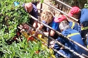 Συγκλονιστική μαρτυρία για την τραγωδία στη Νέδα – «Το παιδί έπεσε από ύψος 25 μέτρων στο ποτάμι»