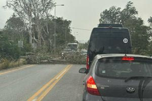 Πτώση δέντρου στον ΒΟΑΚ – Κατολισθήσεις στο Ρέθυμνο