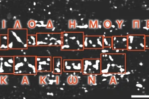 2.000 χρόνια μετά την έκρηξη του Βεζούβιου διάβασαν απανθρακωμένο πάπυρο του Φιλόδημου