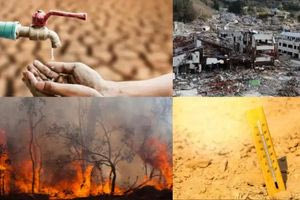 Παγκόσμια κραυγή της φύσης