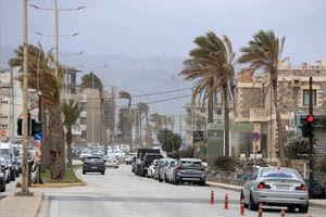 Ηράκλειο: Κινητοποίηση για «επικίνδυνο» φοίνικα στην παραλιακή