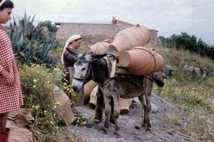 Εικόνα καθημερινότητας στο Θραψανό