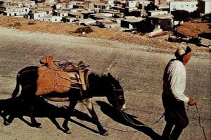 Κρητικός με γαϊδουράκι το 1977