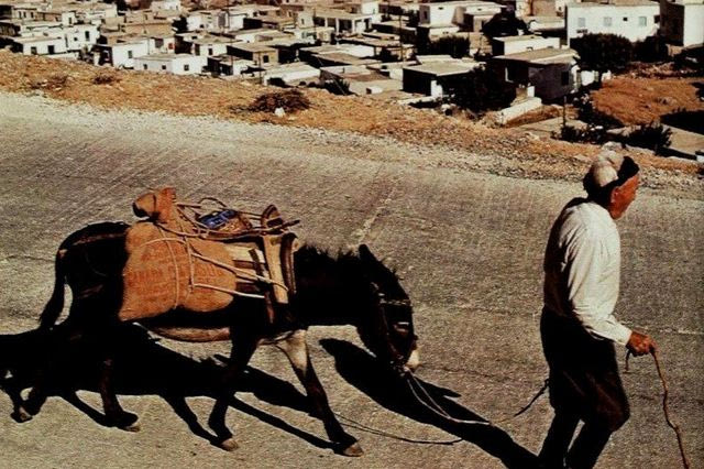 Κρητικός με γαϊδουράκι το 1977