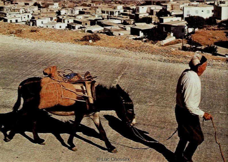 Κρητικός με γαϊδουράκι το 1977