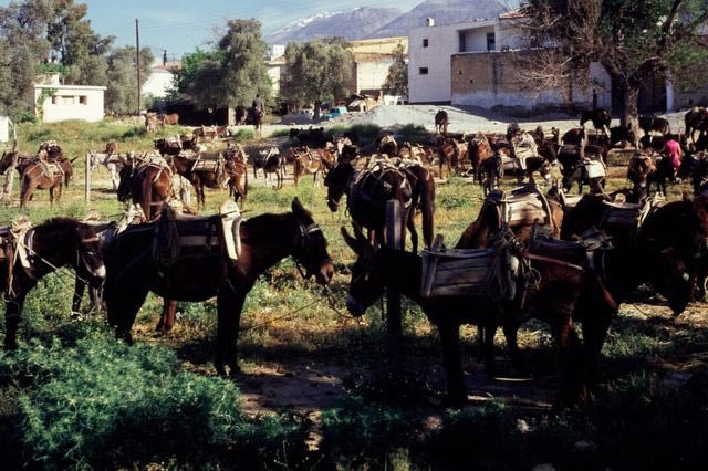 Παζάρι των Μοιρών το Μάιο του 1968