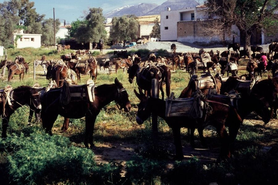 Παζάρι των Μοιρών το Μάιο του 1968