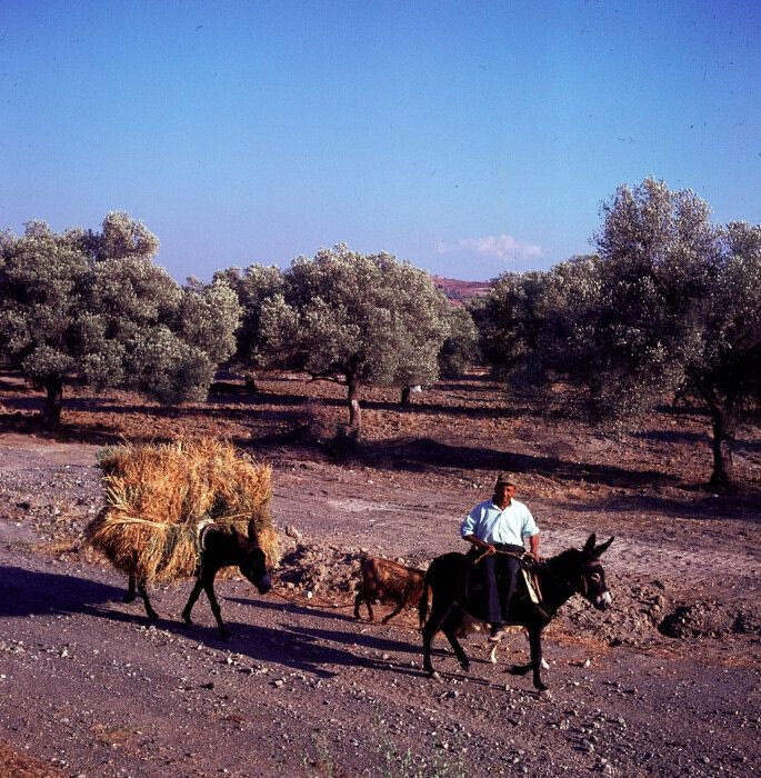 Κρητική ύπαιθρος τη δεκαετία του 1970