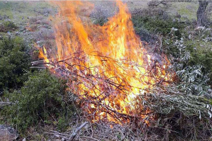 Βαριά «καμπάνα» σε Ηρακλειώτη για φωτιά σε αγροτική έκταση