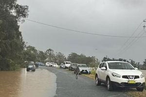 Καγκουρό προσπάθησε να πνίξει έναν άνδρα: Άγριος καβγάς με μπουνιές – «Ήταν σαν αγώνας πυγμαχίας»