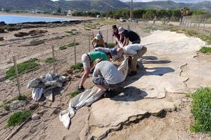 Ομάδα επιστημόνων μελετά αποτυπώματα 6 εκατ. ετών στην Κίσσαμο