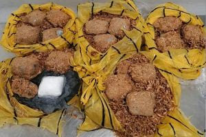 Συνελήφθη 55χρονος στο αεροδρόμιο – Έκρυβε 2,8 κιλά κοκαΐνης σε αποξηραμένες γαρίδες