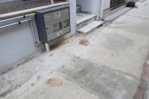 Λάρισα: Η κυνική ομολογία του 21χρονου και η ψυχραιμία του μετά το έγκλημα – Έβγαλε βόλτα τα σκυλιά του αφού σκότωσε τη μητέρα του