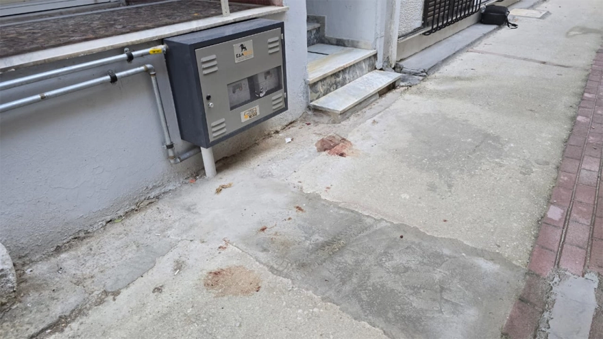 Έγκλημα στη Λάρισα: Με τρεις μαχαιριές δολοφόνησε τη μητέρα του ο 21χρονος – «Με μισούσε, γι’ αυτό τη σκότωσα» είπε