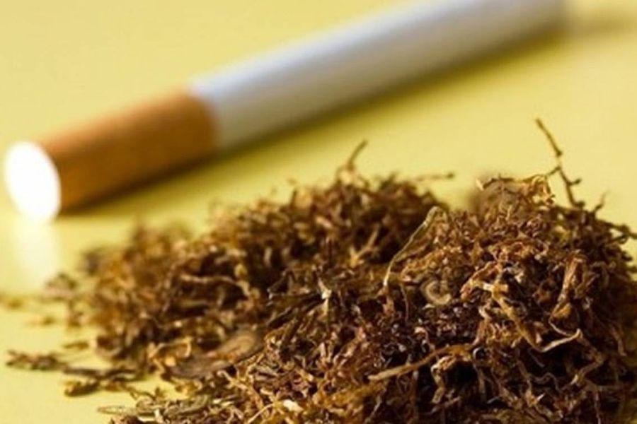 Πιτσιλής: Περιττώματα ζώων, νύχια και μούχλα «έδειξαν» οι αναλύσεις του Γενικού Χημείου του Κράτους στα παράνομα καπνικά προϊόντα