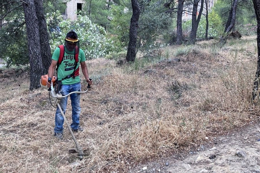 Τρέχουν να δηλώσουν καθαρισμούς οικοπέδων – 82.000 αιτήσεις σε 10 μέρες