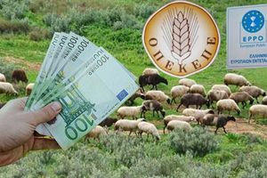 Σκοτεινή, σαν την  λασπωμένη καμπίνα  του 4Χ4 με τα φιμέ τζάμια