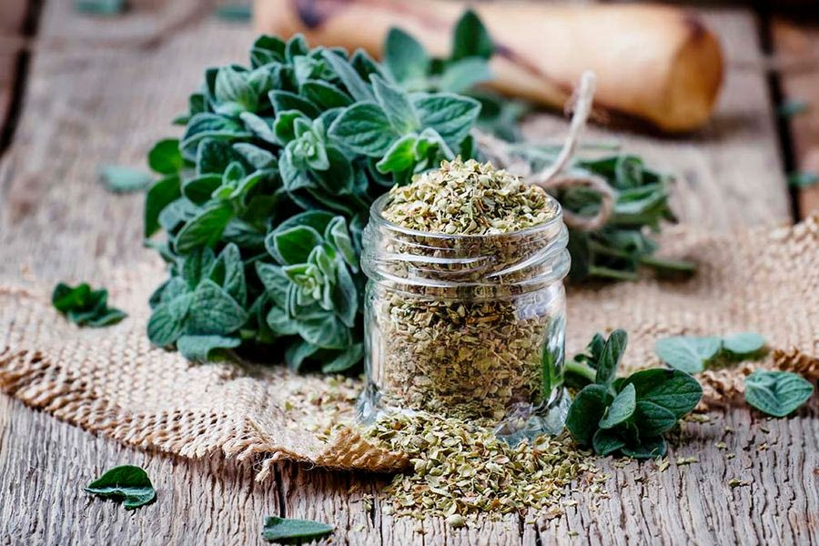 Το αντιφλεγμονώδες ελληνικό βότανο που καταπολεμά διαβήτη και κατάθλιψη
