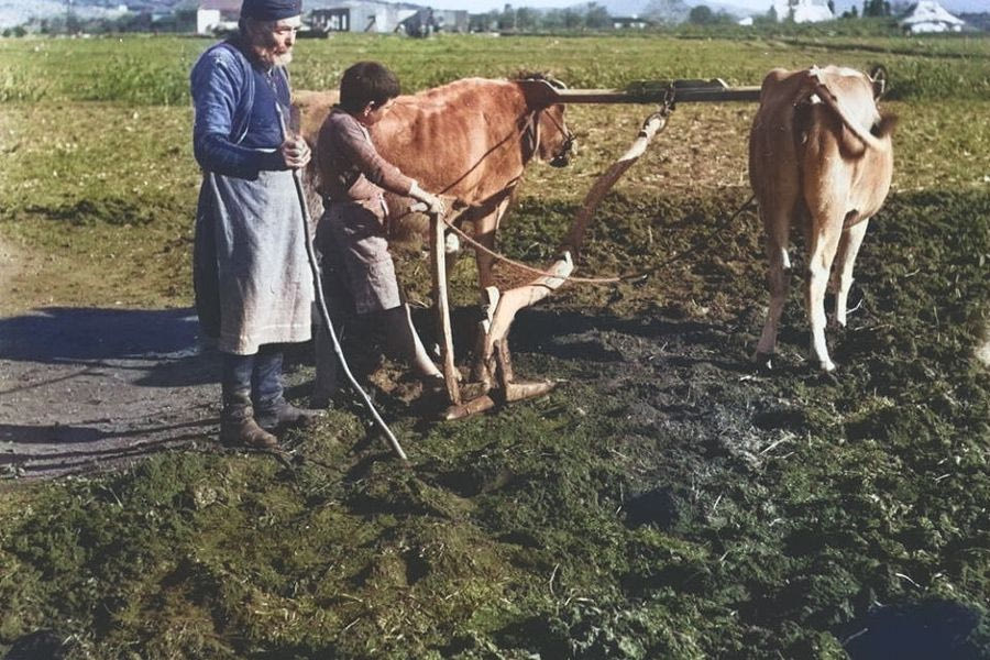Όργωμα χωραφιού το 1941 στην Κρήτη