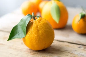 Can an Orange Brighten Your Day? Science Says Yes!