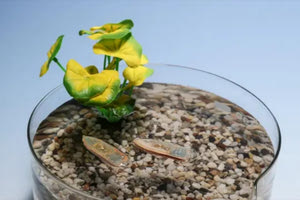 Βρώσιμα ρομπότ καθαρίζουν το νερό και μετά γίνονται σνακ για τα ψάρια