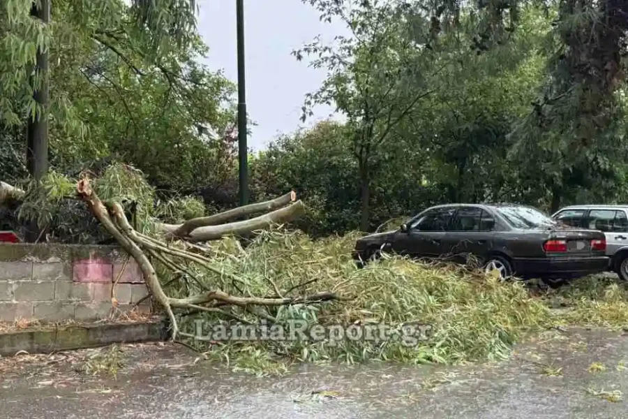 Λαμία: Προβλήματα από ισχυρό μπουρίνι με πτώσεις δέντρων και διακοπές ρεύματος