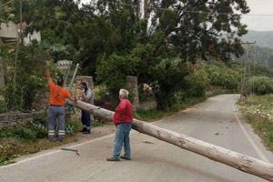 Δέντρα, κλαδιά και μπαλκόνια έπεσαν από τους ισχυρούς ανέμους στο Ρέθυμνο