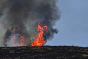 Φωτιά στη Ριτσώνα: Καλύτερη η εικόνα – Συνελήφθη 30χρονος που εκτελούσε γεωργικές εργασίες