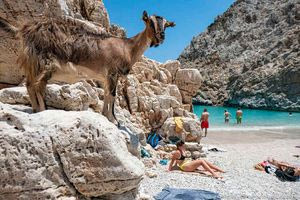 Σεϊτάν Λιμάνια: «Η κατσίκα δίπλα στον τουρίστα είναι η καλύτερη διαφήμιση»