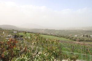 Κορύφωση της αφρικανικής σκόνης την Τετάρτη