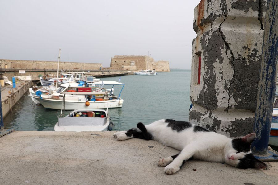 Στο επίκεντρο της αφρικανικής σκόνης η Κρήτη – Μεγάλες οι συγκεντρώσεις γύρης στην ατμόσφαιρα