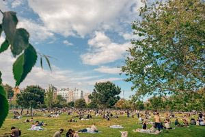 Το brain rot και το μπλακ άουτ στην Ιβηρική