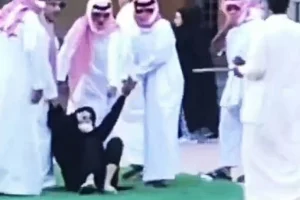 Σαουδική Αραβία: Σάλος με τα καταφύγια υπακοής για γυναίκες – Ξυλοδαρμοί, απομόνωση και βιασμοί