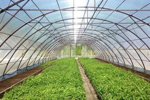 Μια ανάσα πριν την έναρξη του προγράμματος για τις θερμοκηπιακές καλλιέργειες