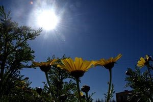 Καιρός: Με λιακάδα, λίγες νεφώσεις και αέρα – Πότε ανεβαίνει ξανά η θερμοκρασία