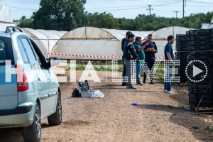 Δολοφονία στη Βάρδα: Τον σκότωσε και μετά πήγε να μαζέψει φράουλες