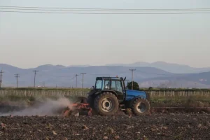 Αγρότες: Παράταση στις αιτήσεις στήριξης βιολογικής γεωργίας και κτηνοτροφίας