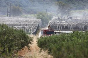 Σε εξέλιξη η φωτιά στις Κάτω Ασίτες – Ενισχυμένη κινητοποίηση της Πυροσβεστικής – φωτογραφίες και video