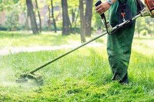 Σχεδόν 320.000 οι δηλώσεις καθαρισμών των οικοπέδων – Περισσότεροι από 312 δήμοι έχουν χρησιμοποιήσει την πλατφόρμα