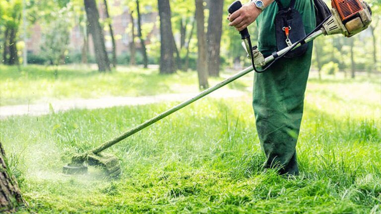 Σχεδόν 320.000 οι δηλώσεις καθαρισμών των οικοπέδων – Περισσότεροι από 312 δήμοι έχουν χρησιμοποιήσει την πλατφόρμα