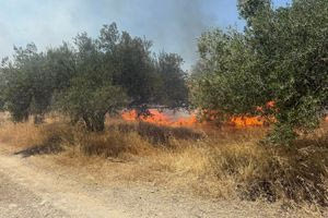 Ηράκλειο: Συναγερμός για φωτιά στο Χάρακα