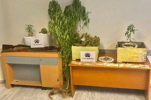 Ηράκλειο: Σύλληψη δύο ανδρών για ναρκωτικά και όπλα