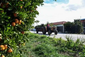 ΥΠΑΑΤ: Στο επίκεντρο η προστασία των αγροτών – Ενισχύσεις και νέα εργαλεία για την κλιματική κρίση