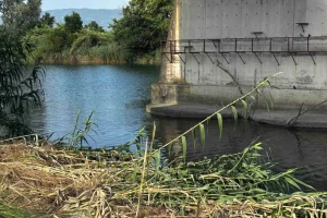 Η τελευταία πράξη του δράματος για τα δύο αγόρια που πνίγηκαν στον Άραχθο: Αποφασίζουν οι γιατροί εάν και ποια όργανα προορίζονται προς μεταμόσχευση