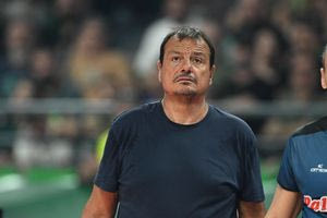 Ο Αταμάν απάντησε στον Λεπενιώτη: Κανείς δεν μπορεί να αποκαλεί «ζώα» τους οπαδούς του Παναθηναϊκού