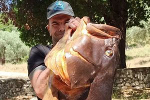 Βόλος: «Ψαριά για όσκαρ» από ψαροντουφεκά – Έβγαλε από την θάλασσα ροφό 27 κιλών