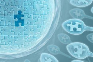 Εγκυμοσύνη μετά τα 40: Πιθανότητες, εξωσωματική γονιμοποίηση και ο ρόλος του προεμφυτευτικού ελέγχου