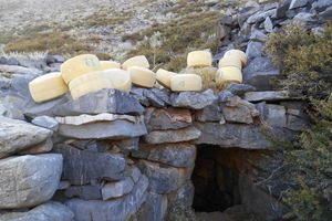 «Τυροκομία στον Ψηλορείτη: μια αναδρομή από το χθες στο σήμερα – Προοπτικές σε εστίαση και τουρισμό»